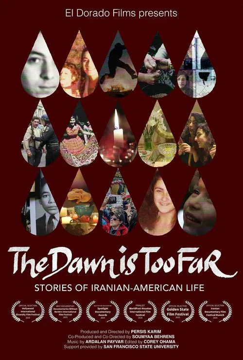 The Dawn is Too Far: Stories of Iranian-American Life movie poster