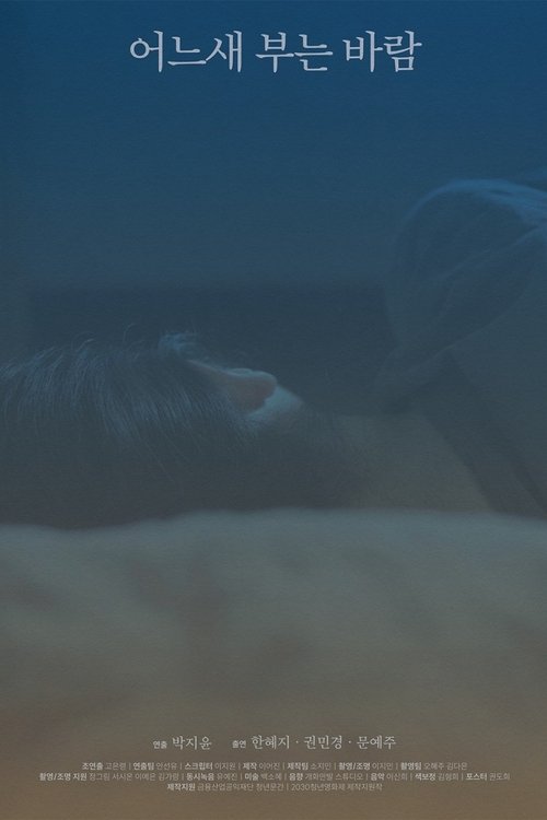 The Consolation of the Wind movie poster