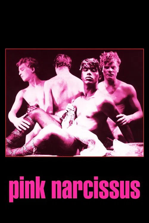 Pink Narcissus movie poster