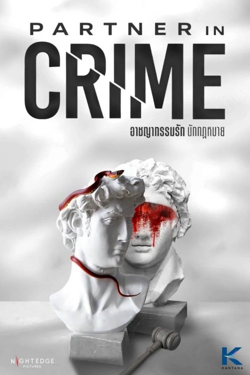 Partner in Crime tv show poster