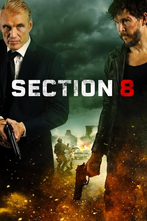 Section 8 movie poster