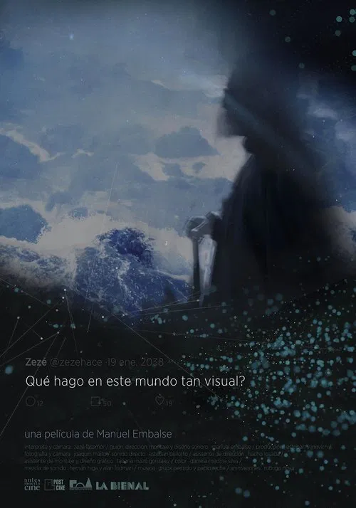 What I'm Doing In This Visual World? movie poster