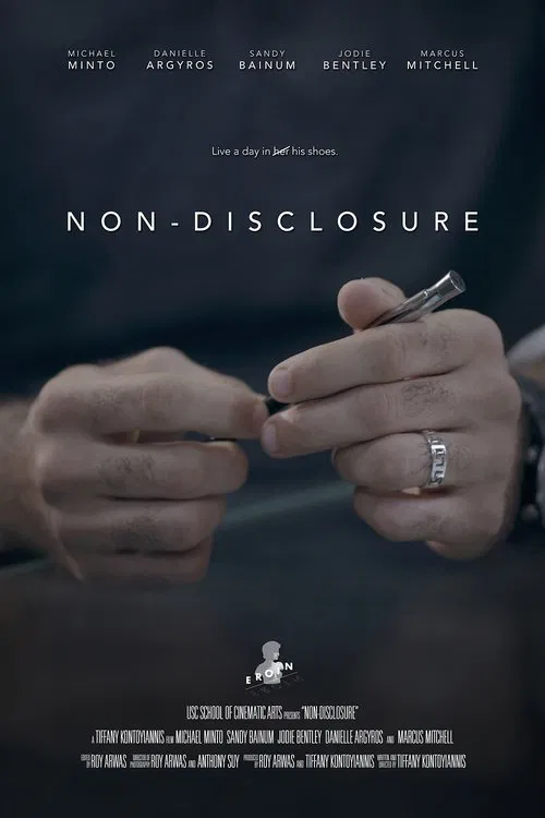 Non-Disclosure movie poster