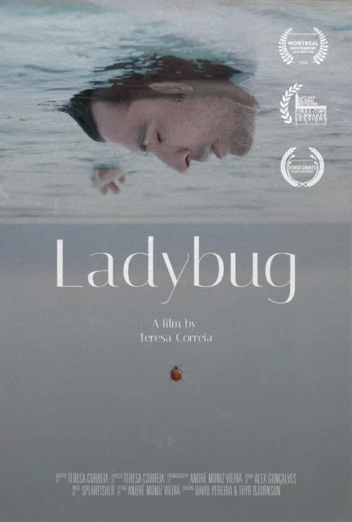 Ladybug movie poster