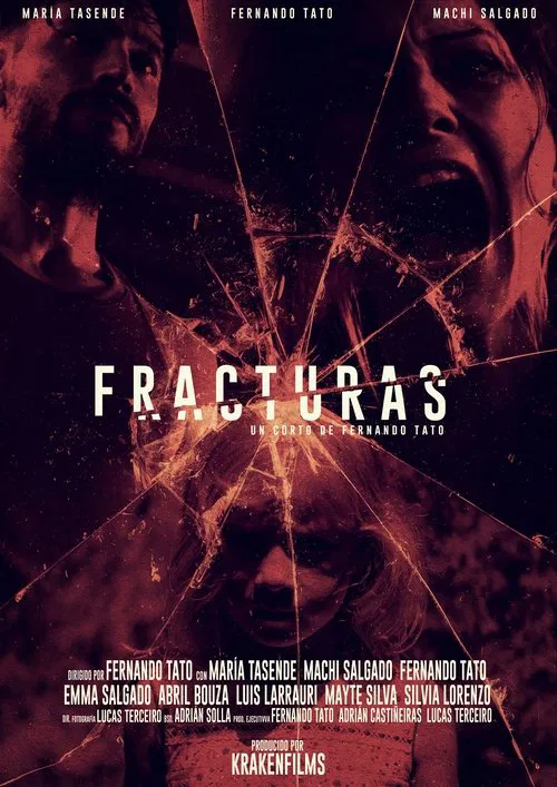 Poster do filme Fractures