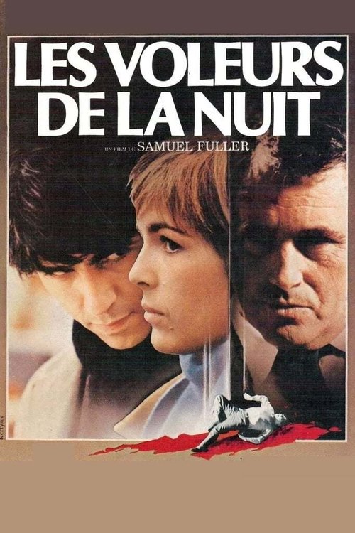 Thieves After Dark movie poster