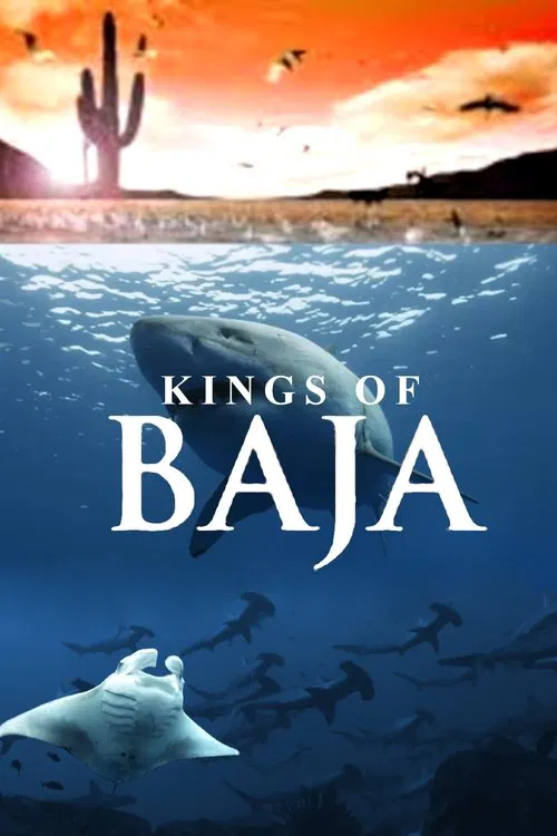 Kings of Baja movie poster