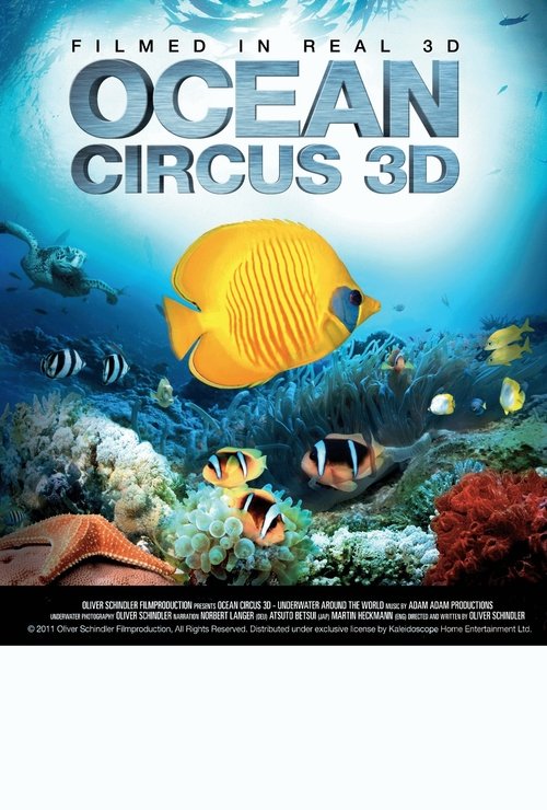 Ocean Circus 3D - Underwater Around the World movie poster