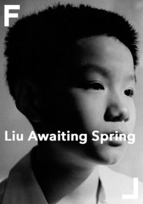 Liu Awaiting Spring movie poster