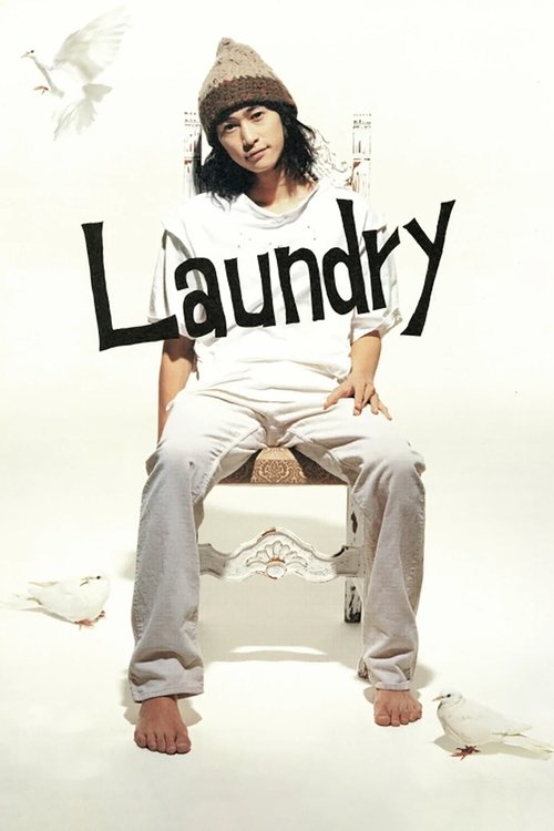 Laundry movie poster