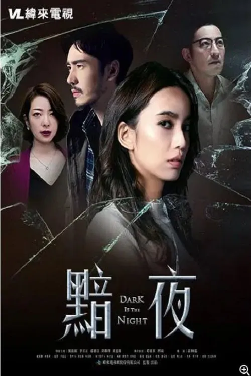 Dark Is the Night tv show poster