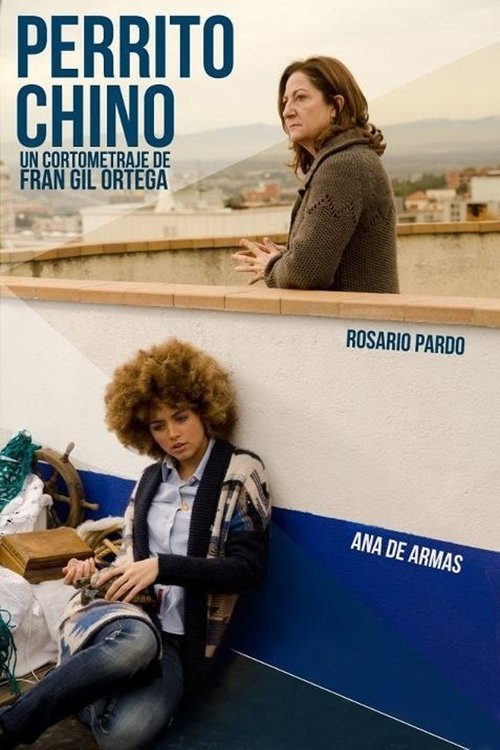 Perrito Chino movie poster