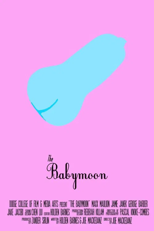 The Babymoon movie poster