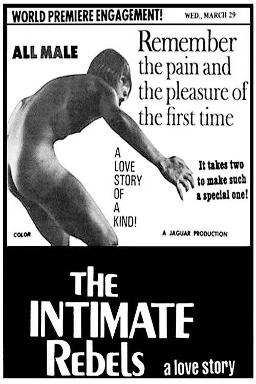 The Intimate Rebels movie poster