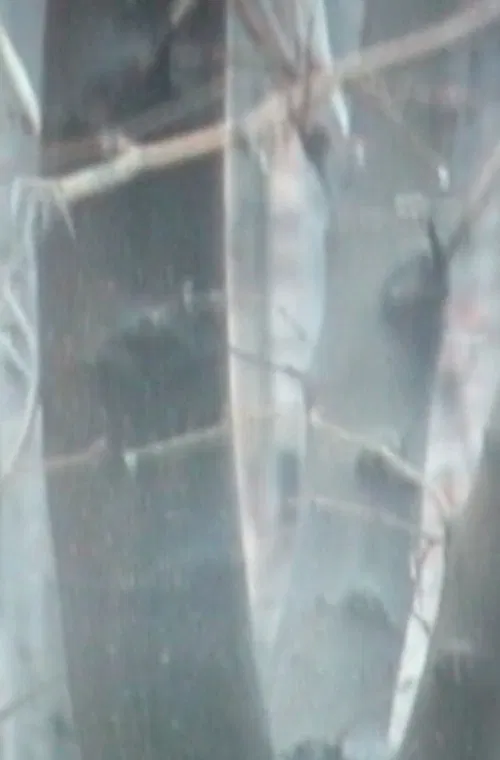 February movie poster