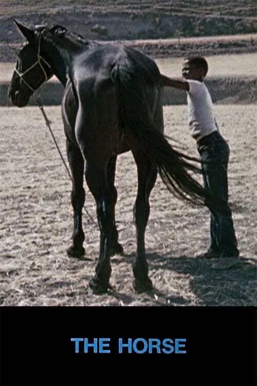 Poster do filme The Horse
