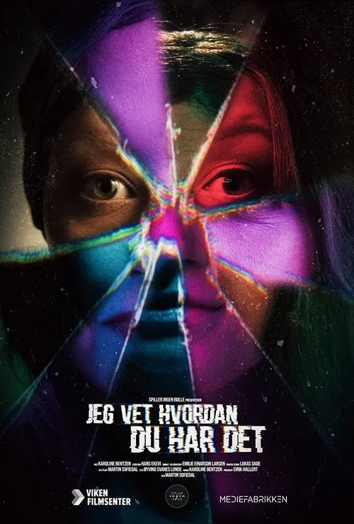 I Know How You Feel movie poster