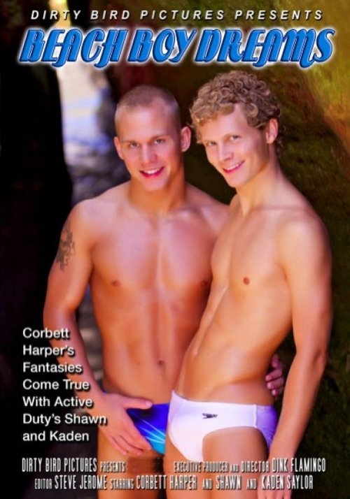 Beach Boy Dreams movie poster