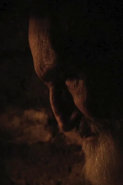 Poster do filme Resistance