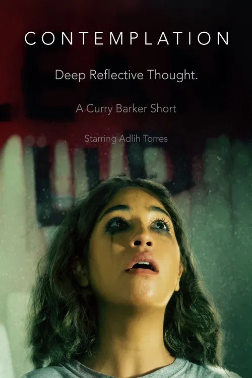Contemplation movie poster