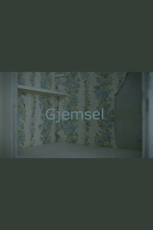 Poster do filme Hide and Seek