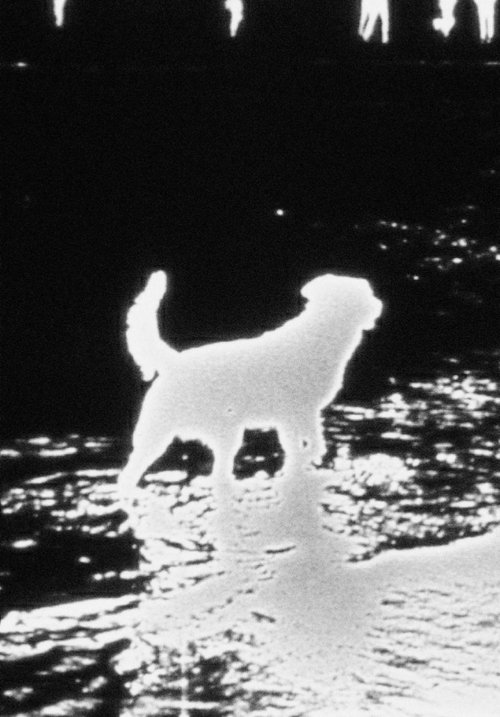 Waterfall movie poster