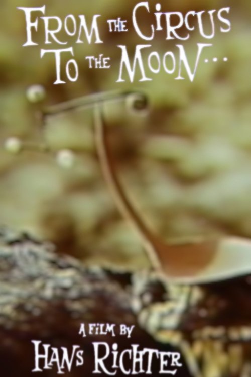 From the Circus to the Moon movie poster