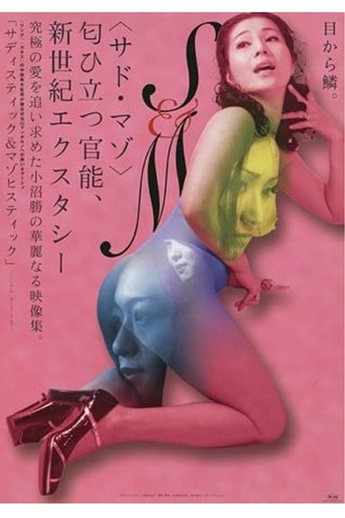 Sadistic and Masochistic movie poster