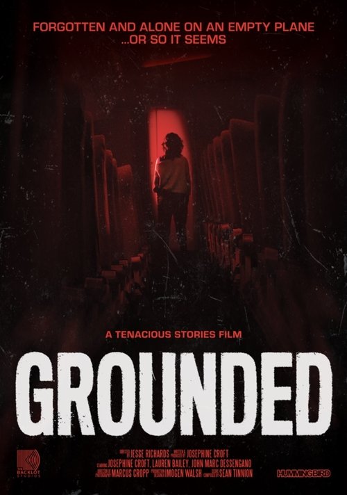 Poster do filme Grounded