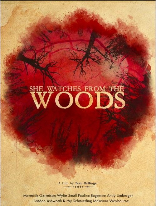 She Watches from the Woods movie poster