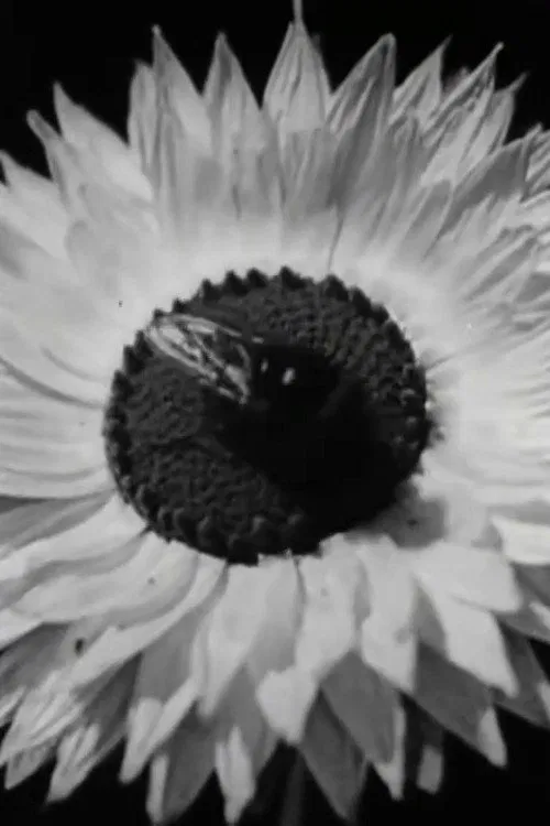 Floral Co-operative Societies movie poster