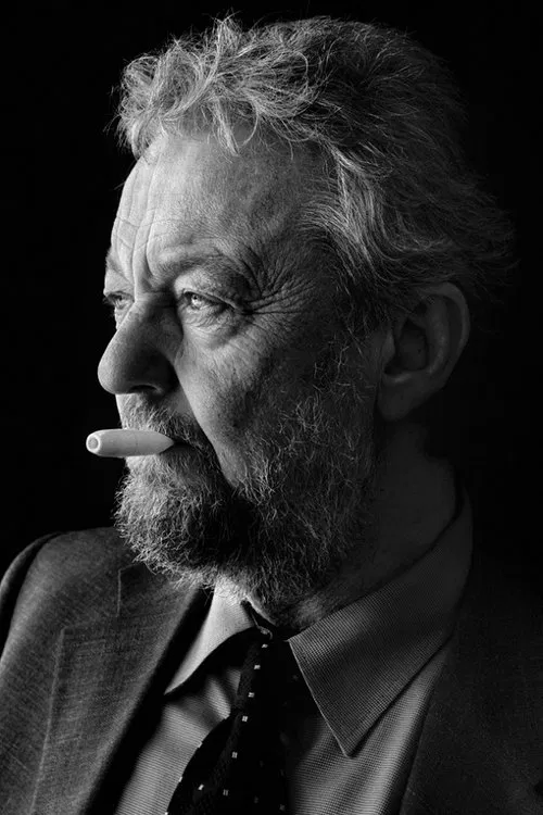 Peter Dahl profile picture
