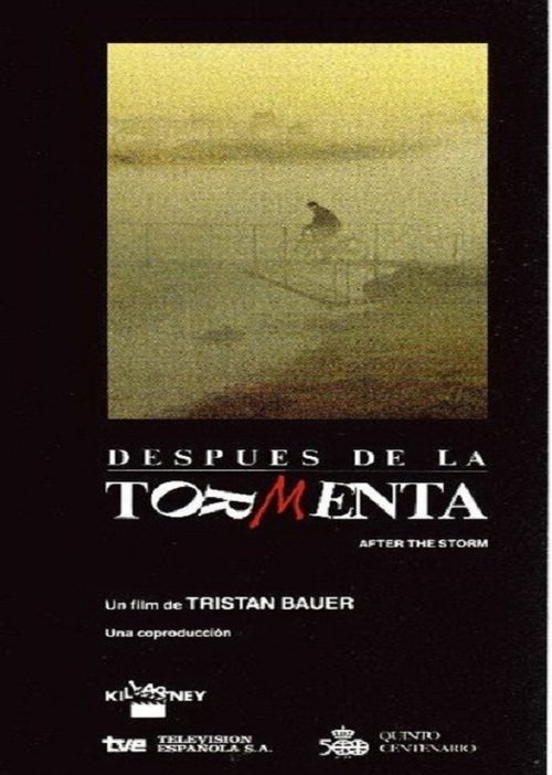Después de la tormenta movie poster