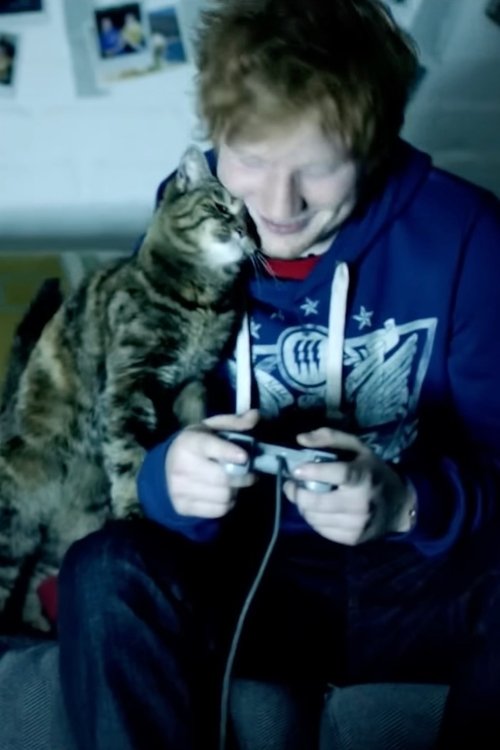 Ed Sheeran: Drunk movie poster