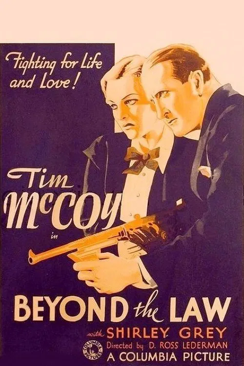 Beyond the Law movie poster