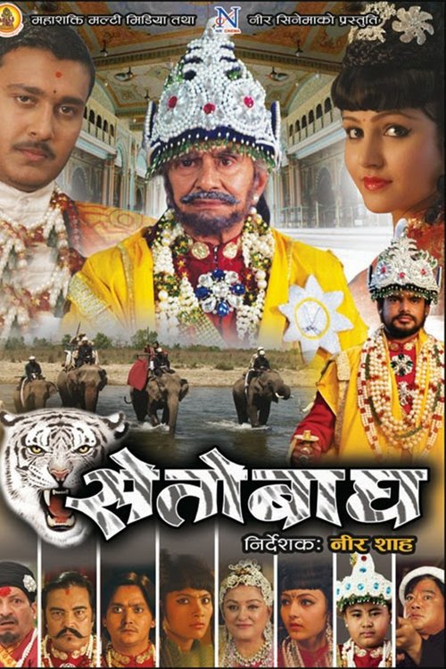 Seto Bagh movie poster