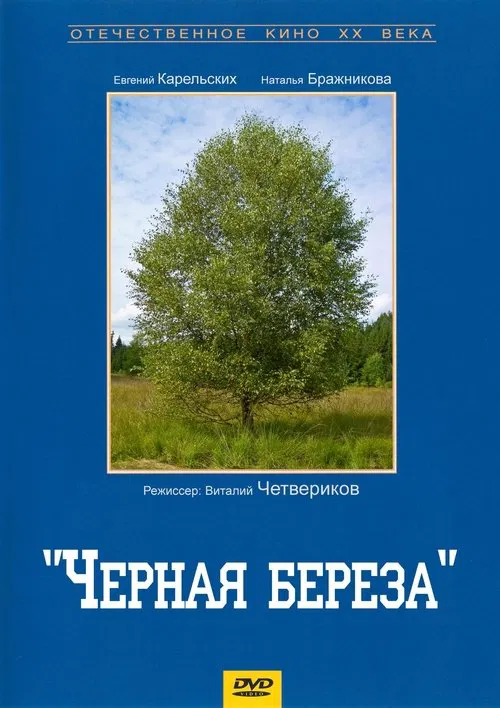 Black Birch movie poster