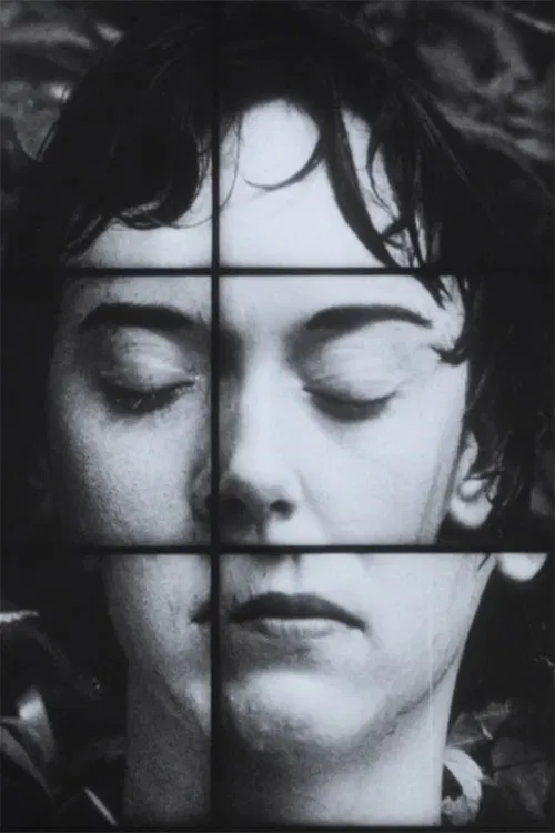 A Temporary Arrangement movie poster