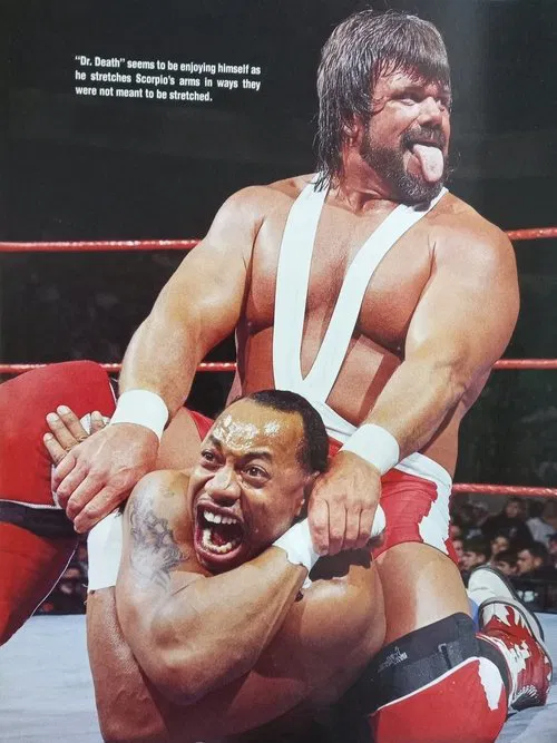 The Brawl For All movie poster