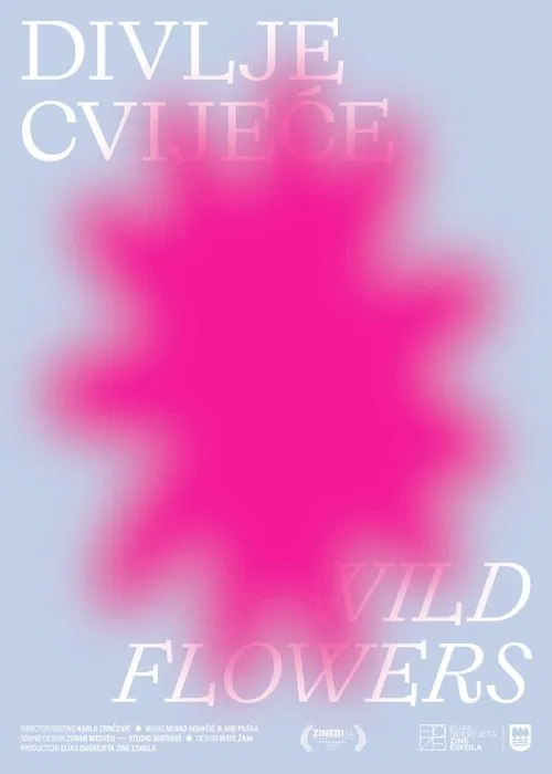 The Radiant Hill movie poster