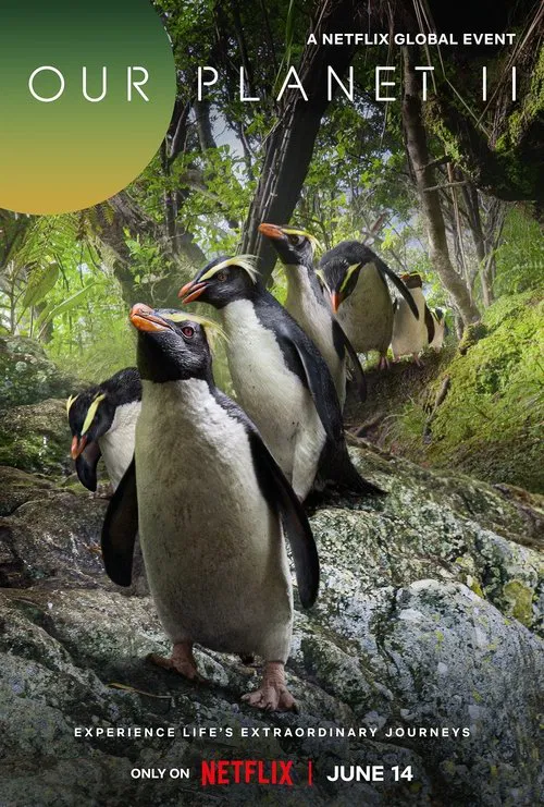 Our Planet II movie poster