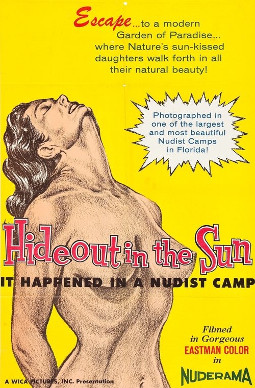 Hideout in the Sun movie poster