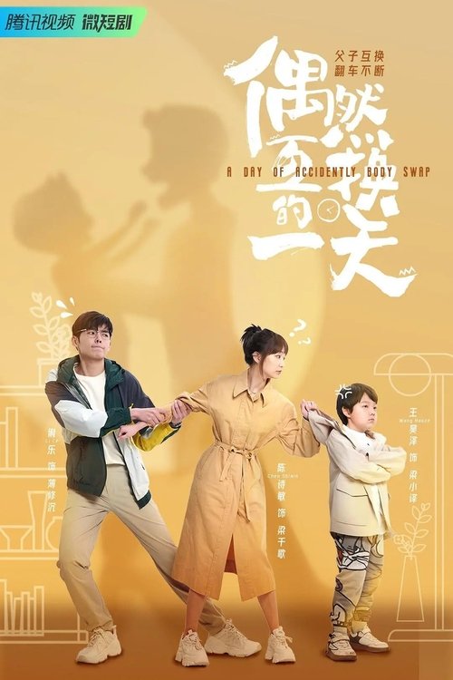 A Day of Accidently Body Swap tv show poster