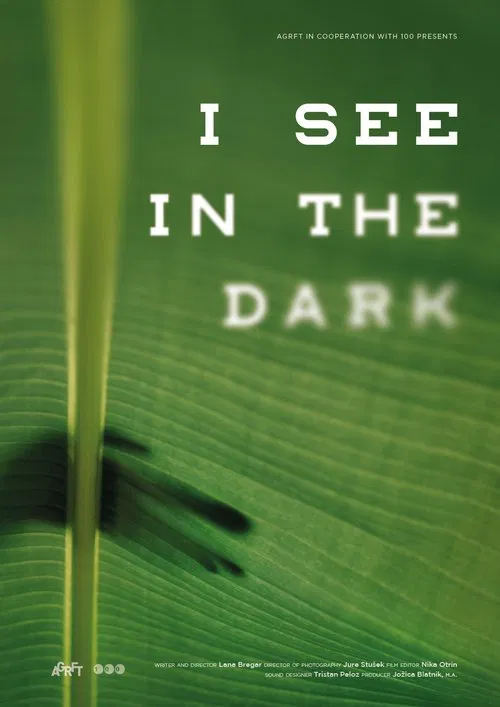 I See in the Dark movie poster