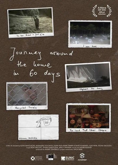 Journey Around the Home in 60 Days movie poster