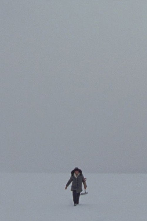 Lake movie poster