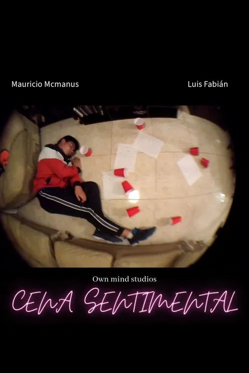 A sentimental dinner movie poster