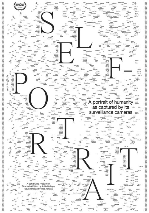 Poster do filme Self-Portrait