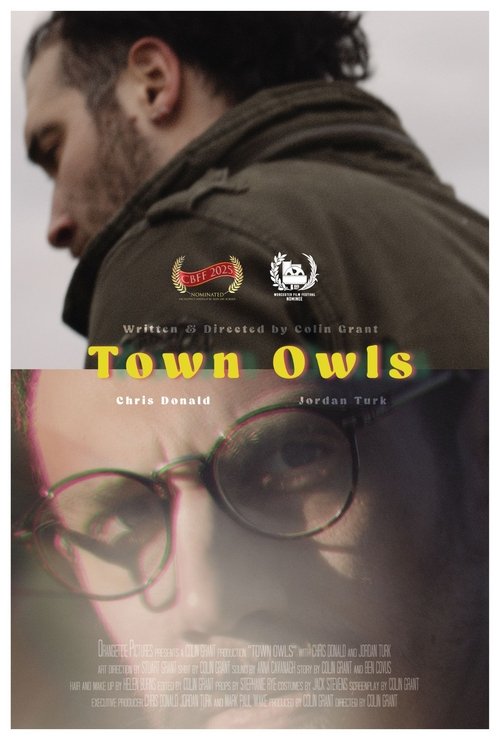 Town Owls movie poster