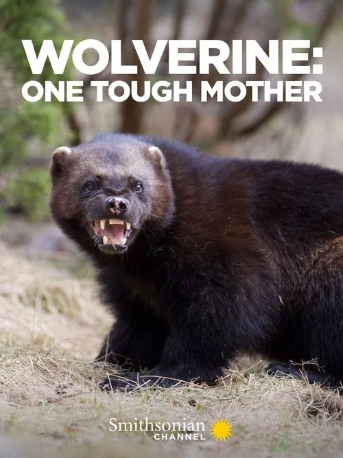Wolverine: One Tough Mother movie poster